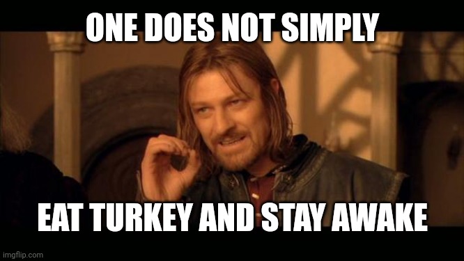 Sean Bean Lord Of The Rings | ONE DOES NOT SIMPLY; EAT TURKEY AND STAY AWAKE | image tagged in sean bean lord of the rings | made w/ Imgflip meme maker