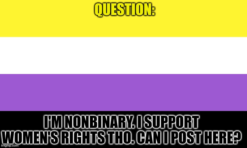 ? | QUESTION:; I'M NONBINARY. I SUPPORT WOMEN'S RIGHTS THO. CAN I POST HERE? | image tagged in nonbinary | made w/ Imgflip meme maker