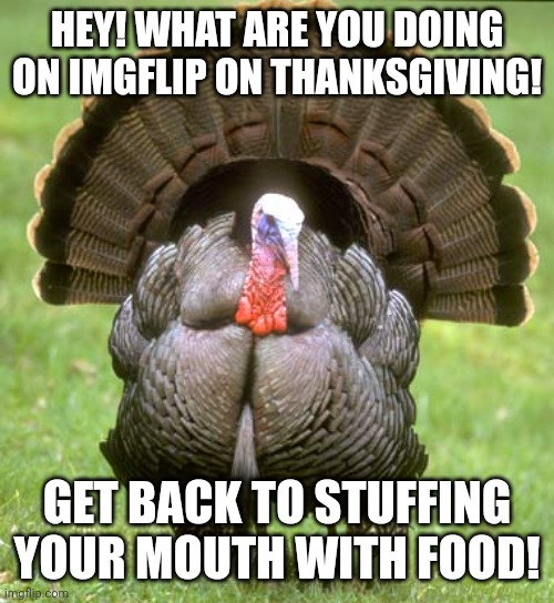 Be thankful for everything except Vantage, Crypto, and Ash. | HEY! WHAT ARE YOU DOING ON IMGFLIP ON THANKSGIVING! GET BACK TO STUFFING YOUR MOUTH WITH FOOD! | image tagged in memes,turkey,thanksgiving,family,funny | made w/ Imgflip meme maker