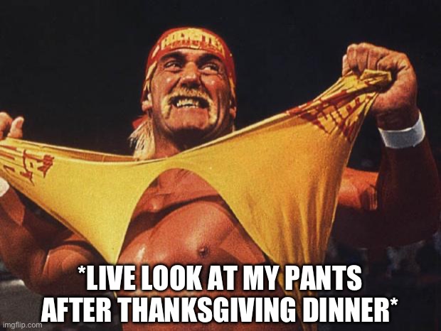 Pants After Thanksgiving Dinner | *LIVE LOOK AT MY PANTS AFTER THANKSGIVING DINNER* | image tagged in hulk hogan,thanksgiving,thanksgiving dinner,food,split pants | made w/ Imgflip meme maker