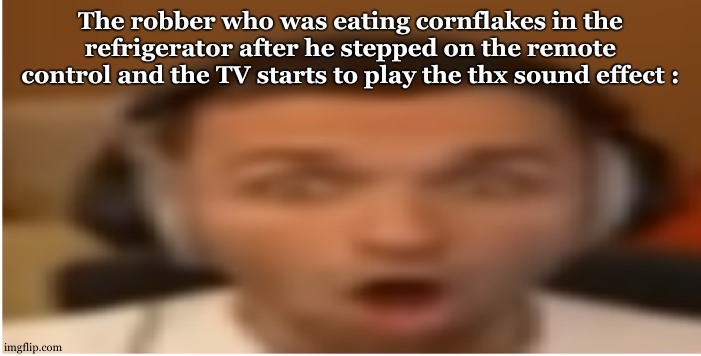 *gasp* Oh nooooooooo !!! *deaf* | The robber who was eating cornflakes in the refrigerator after he stepped on the remote control and the TV starts to play the thx sound effect : | image tagged in flabergasted,refrigerator,robber,3 am,thx,television tv | made w/ Imgflip meme maker