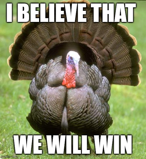 Turkey Meme | I BELIEVE THAT; WE WILL WIN | image tagged in memes,turkey | made w/ Imgflip meme maker