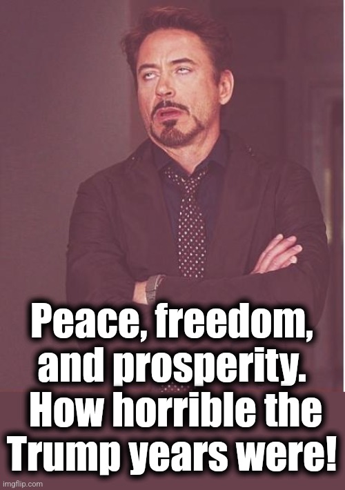Face You Make Robert Downey Jr Meme | Peace, freedom, and prosperity.  How horrible the
Trump years were! | image tagged in memes,face you make robert downey jr | made w/ Imgflip meme maker