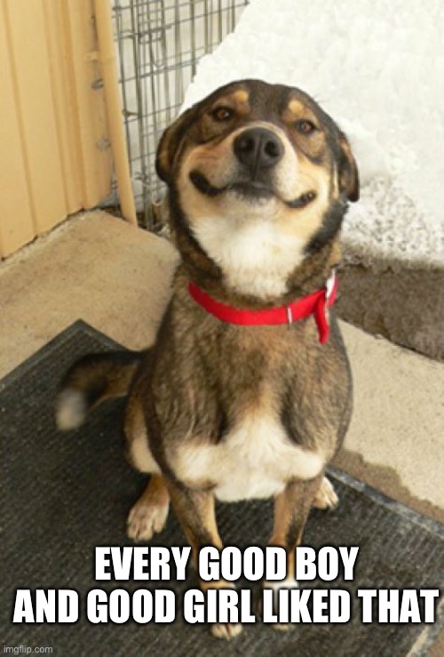 Smiling dog | EVERY GOOD BOY AND GOOD GIRL LIKED THAT | image tagged in smiling dog | made w/ Imgflip meme maker