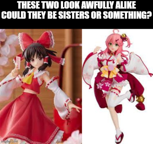 ¯\_(ツ)_/¯ | THESE TWO LOOK AWFULLY ALIKE
COULD THEY BE SISTERS OR SOMETHING? | made w/ Imgflip meme maker