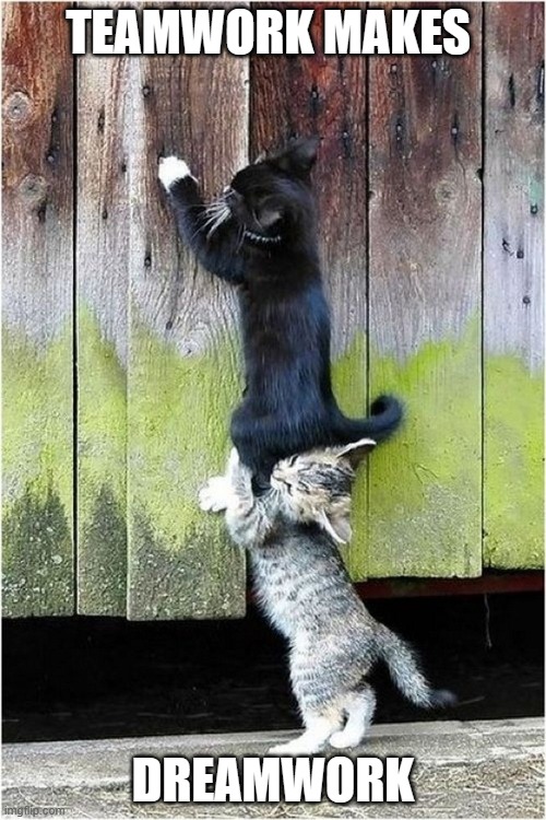 collaborating cats | TEAMWORK MAKES; DREAMWORK | image tagged in collaborating cats | made w/ Imgflip meme maker