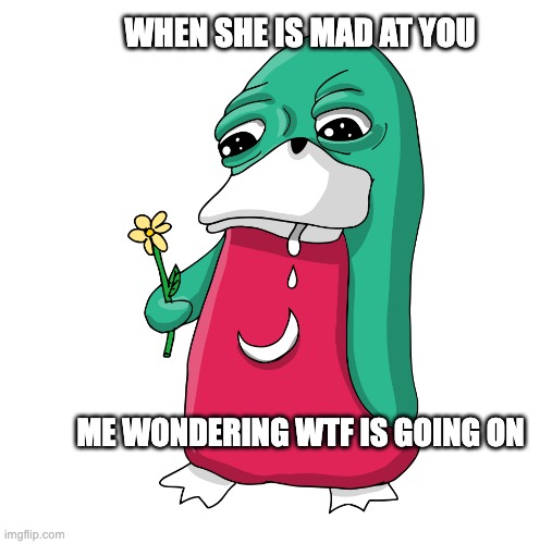 wtf is going on | WHEN SHE IS MAD AT YOU; ME WONDERING WTF IS GOING ON | image tagged in wassie flower | made w/ Imgflip meme maker