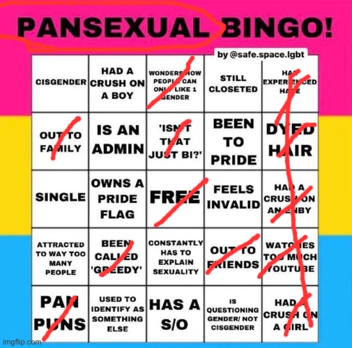 Bingo! | image tagged in pansexual bingo,bingo,yay | made w/ Imgflip meme maker