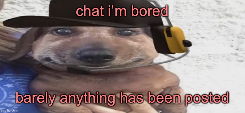 chucklenuts | chat i’m bored; barely anything has been posted | image tagged in chucklenuts | made w/ Imgflip meme maker