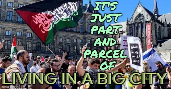 It's Just Part and Parcel of Living In a Big City | IT'S 
JUST 
PART 
AND 
PARCEL 
OF; LIVING IN A BIG CITY | image tagged in file,city,palestine,western,immigration,protesters | made w/ Imgflip meme maker