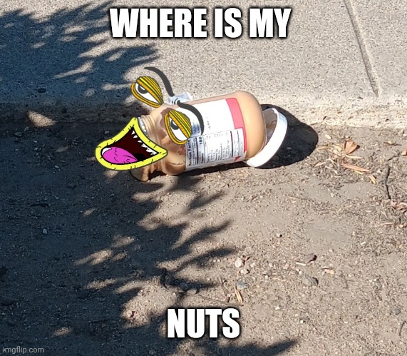 Asking for a friend | WHERE IS MY; NUTS | image tagged in that my name | made w/ Imgflip meme maker