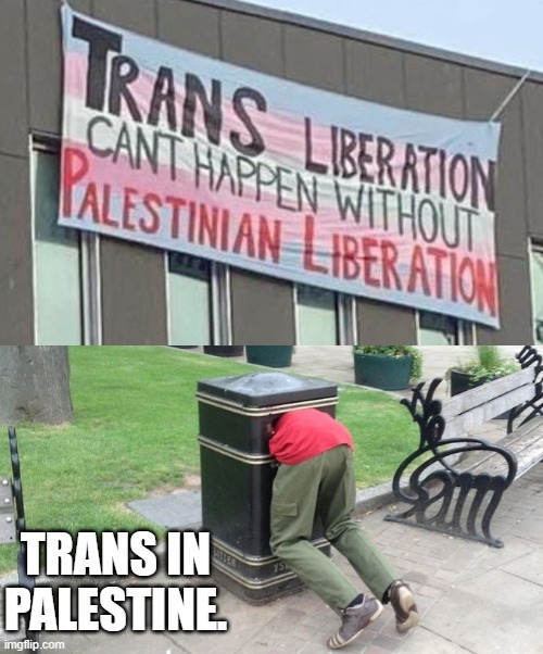 trans palestine | image tagged in palestine,israel,transgender,meme war,tired of hearing about transgenders | made w/ Imgflip meme maker