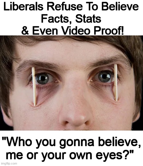 Radicals Refuse to Accept Reality but Totally Embrace Confusion & Delusion as REAL. Oh, The Irony! | Liberals Refuse To Believe 
Facts, Stats 
& Even Video Proof! "Who you gonna believe, me or your own eyes?" | image tagged in politics,radical,liberals,reject reality,reject facts and video evidence,embrace confusion and delusion | made w/ Imgflip meme maker