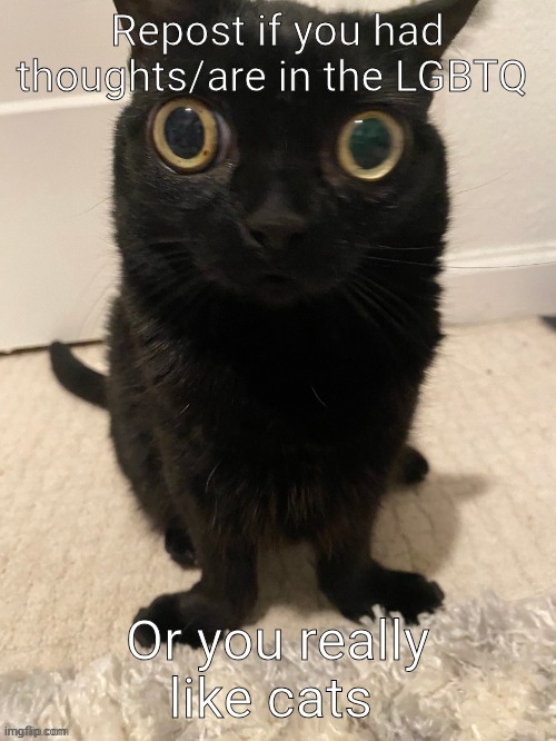 im straighter than the blocks in Minecraft | made w/ Imgflip meme maker