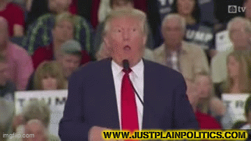 872j08.gif