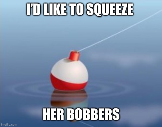 Bobber | I’D LIKE TO SQUEEZE HER BOBBERS | image tagged in bobber | made w/ Imgflip meme maker