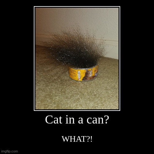 Nah bro. | Cat in a can? | WHAT?! | image tagged in funny,demotivationals | made w/ Imgflip demotivational maker