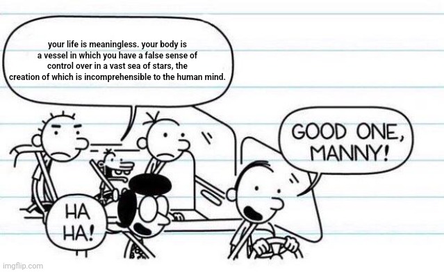 why did i type this | your life is meaningless. your body is a vessel in which you have a false sense of control over in a vast sea of stars, the creation of which is incomprehensible to the human mind. | image tagged in good one manny | made w/ Imgflip meme maker