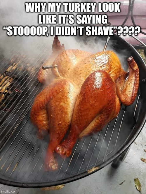 Thanksgiving | WHY MY TURKEY LOOK LIKE IT’S SAYING “STOOOOP, I DIDN’T SHAVE”???? | image tagged in turkey,thanksgiving,stuffed animal,together,thanksgiving dinner,people | made w/ Imgflip meme maker