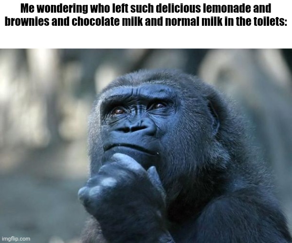Hmmm I wonder | Me wondering who left such delicious lemonade and brownies and chocolate milk and normal milk in the toilets: | image tagged in deep thoughts | made w/ Imgflip meme maker