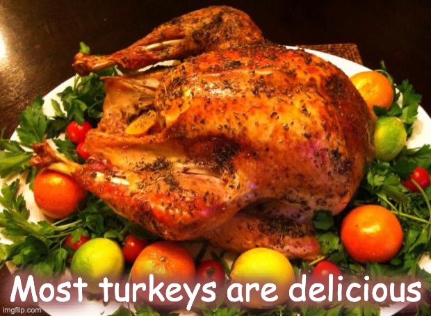 Roasted turkey | Most turkeys are delicious | image tagged in roasted turkey | made w/ Imgflip meme maker