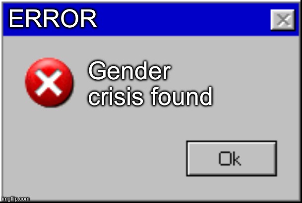 Help meeeee (in comments) | ERROR; Gender crisis found | image tagged in windows error message | made w/ Imgflip meme maker