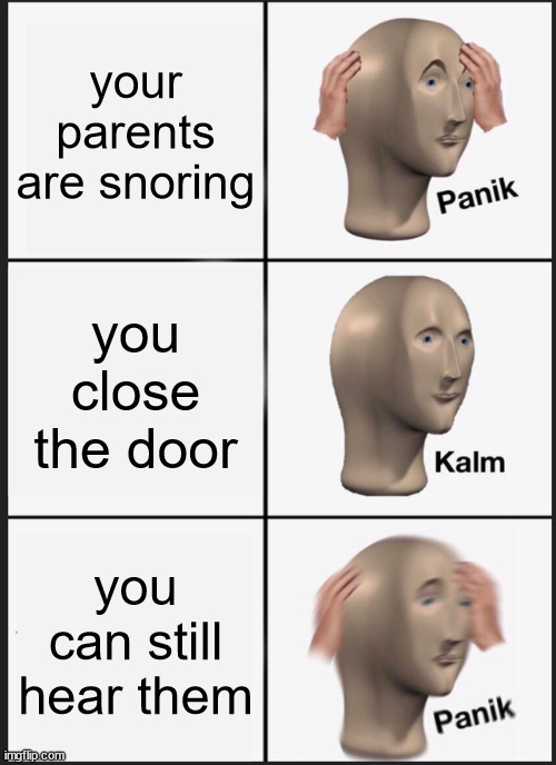 nosiy | your parents are snoring; you close the door; you can still hear them | image tagged in memes,panik kalm panik | made w/ Imgflip meme maker