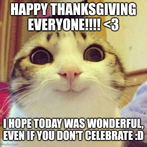 Hello B) | HAPPY THANKSGIVING EVERYONE!!!! <3; I HOPE TODAY WAS WONDERFUL, EVEN IF YOU DON'T CELEBRATE :D | image tagged in memes,smiling cat | made w/ Imgflip meme maker