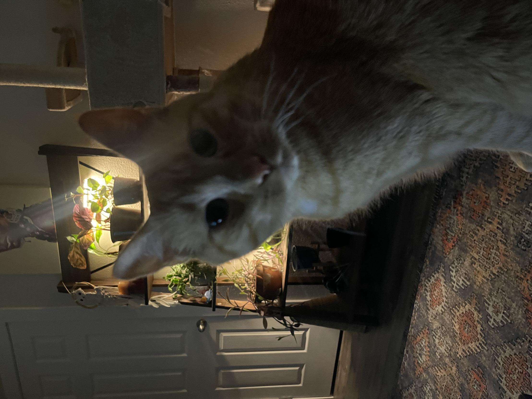 High Quality Umm. Hi. Blank Meme Template