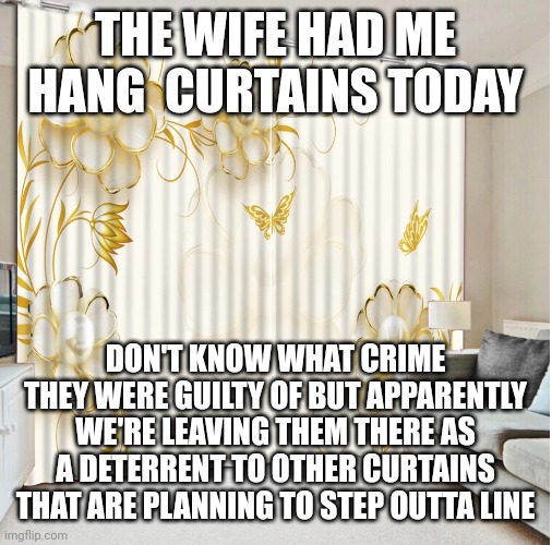 RejuvHubi | THE WIFE HAD ME HANG  CURTAINS TODAY; DON'T KNOW WHAT CRIME THEY WERE GUILTY OF BUT APPARENTLY WE'RE LEAVING THEM THERE AS A DETERRENT TO OTHER CURTAINS THAT ARE PLANNING TO STEP OUTTA LINE | image tagged in rejuvhubi | made w/ Imgflip meme maker