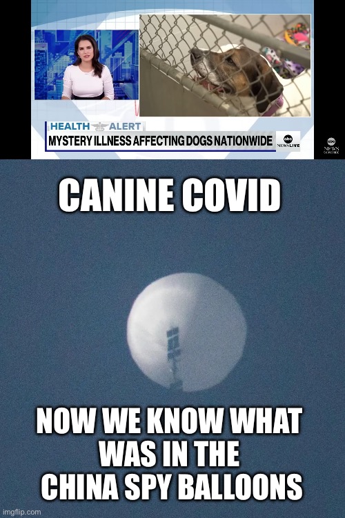 CANINE COVID; NOW WE KNOW WHAT 
WAS IN THE 
CHINA SPY BALLOONS | image tagged in canine illness,china,spy balloons | made w/ Imgflip meme maker