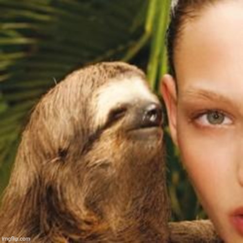 rape sloth | image tagged in rape sloth | made w/ Imgflip meme maker