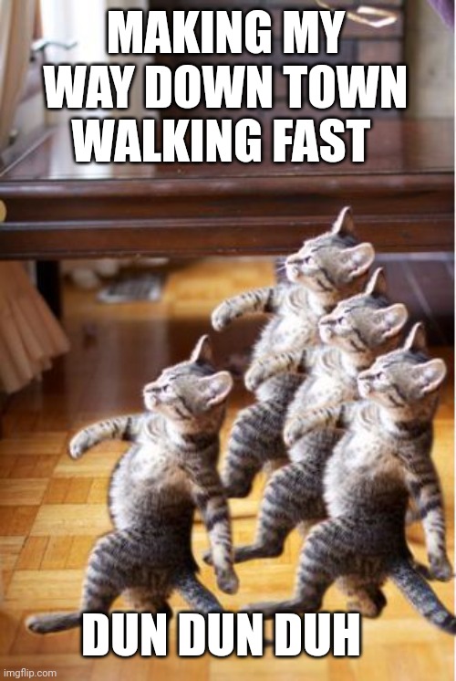 4 cat follow go back | MAKING MY WAY DOWN TOWN WALKING FAST; DUN DUN DUH | image tagged in 4 cat follow go back | made w/ Imgflip meme maker