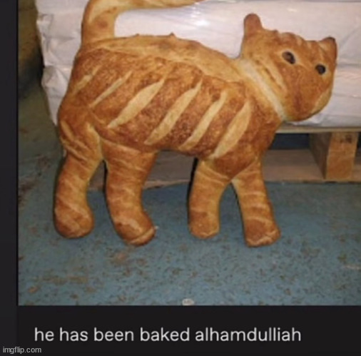 He has been baked | image tagged in he has been baked | made w/ Imgflip meme maker