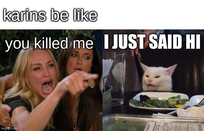 Woman Yelling At Cat Meme | karins be like; I JUST SAID HI; you killed me | image tagged in memes,woman yelling at cat,oh wow are you actually reading these tags | made w/ Imgflip meme maker