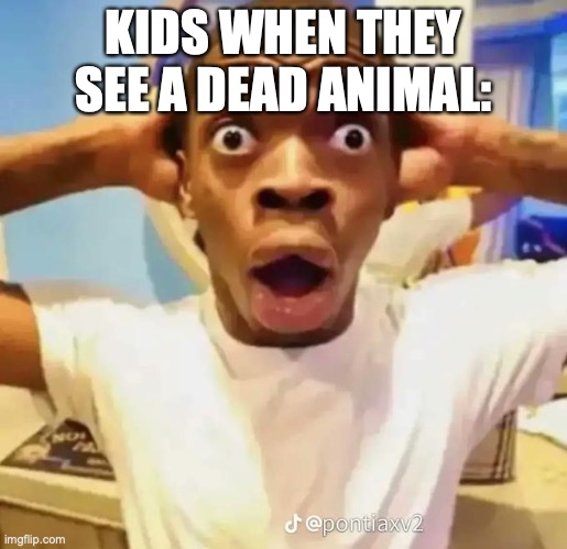 This happened with some dead squirrel | KIDS WHEN THEY SEE A DEAD ANIMAL: | image tagged in shocked black guy | made w/ Imgflip meme maker