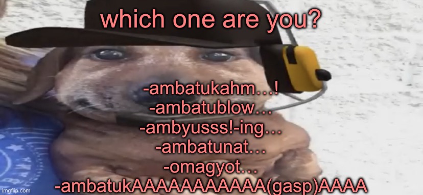 chucklenuts | which one are you? -ambatukahm…!
-ambatublow…
-ambyusss!-ing…
-ambatunat…
-omagyot…
-ambatukAAAAAAAAAAA(gasp)AAAA | image tagged in chucklenuts | made w/ Imgflip meme maker