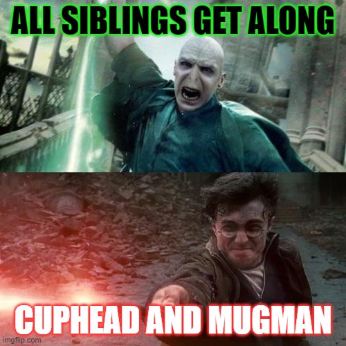 Harry Potter meme | ALL SIBLINGS GET ALONG; CUPHEAD AND MUGMAN | image tagged in harry potter meme | made w/ Imgflip meme maker