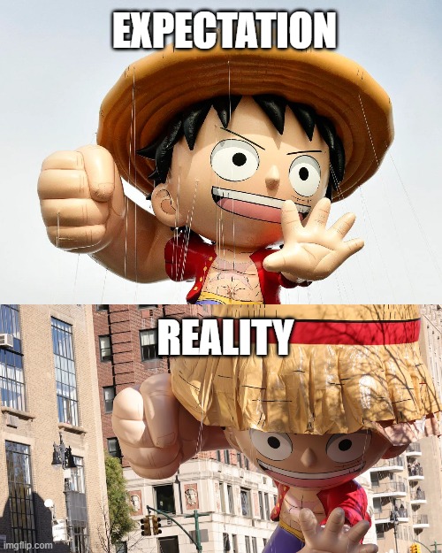 Expectation vs Reality | EXPECTATION; REALITY | image tagged in luffy,expectation vs reality | made w/ Imgflip meme maker