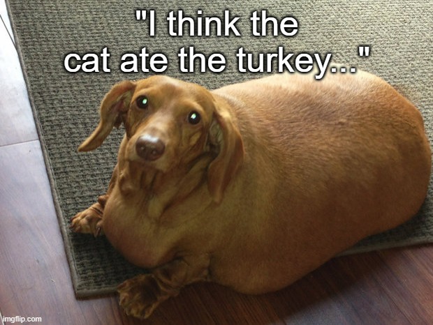 ... | "I think the cat ate the turkey..." | made w/ Imgflip meme maker