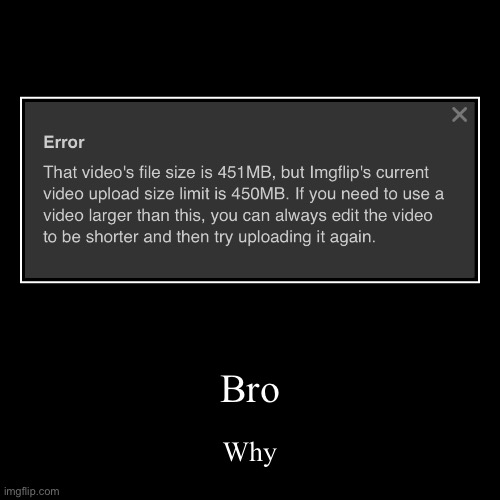 Bro | Why | image tagged in funny,demotivationals | made w/ Imgflip demotivational maker