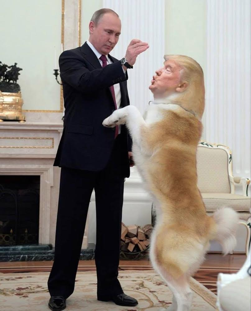 High Quality Putin master Trump dog pet useful idiot for Russians since 1980 Blank Meme Template