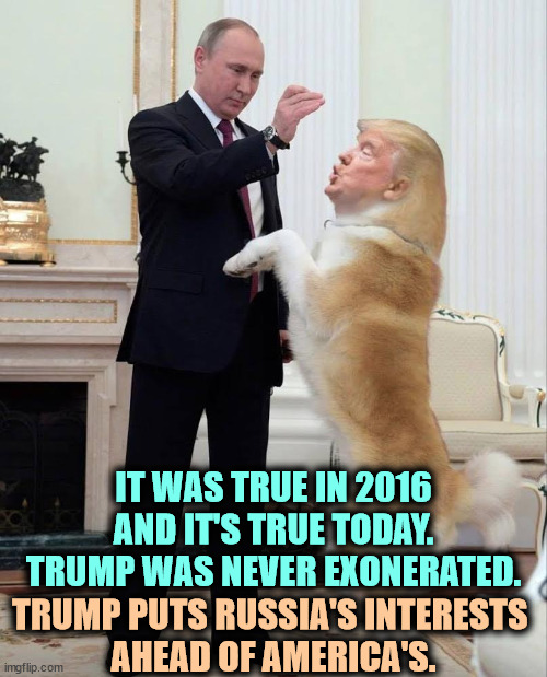 Trump's been a tool of the Russian mob for 40 years. | IT WAS TRUE IN 2016 AND IT'S TRUE TODAY.
TRUMP WAS NEVER EXONERATED. TRUMP PUTS RUSSIA'S INTERESTS 
AHEAD OF AMERICA'S. | image tagged in putin master trump dog pet useful idiot for russians since 1980,trump,russian,tool,putin,slave | made w/ Imgflip meme maker