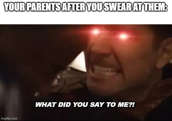 what did you say to me | YOUR PARENTS AFTER YOU SWEAR AT THEM:; WHAT DID YOU SAY TO ME?! | image tagged in what did you say to me | made w/ Imgflip meme maker