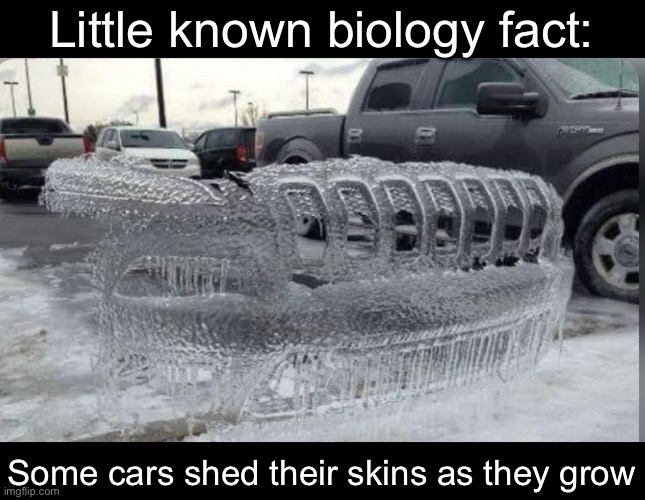 Biology | Little known biology fact:; Some cars shed their skins as they grow | image tagged in skin,cars | made w/ Imgflip meme maker