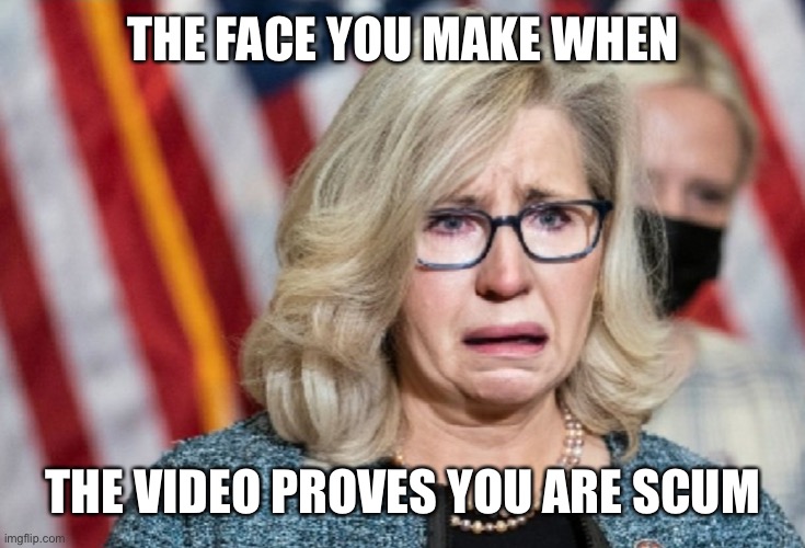 Liz Cheney | THE FACE YOU MAKE WHEN THE VIDEO PROVES YOU ARE SCUM | image tagged in liz cheney | made w/ Imgflip meme maker