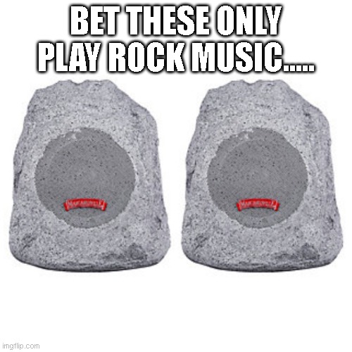 BET THESE ONLY PLAY ROCK MUSIC..... | image tagged in funny meme,fun | made w/ Imgflip meme maker