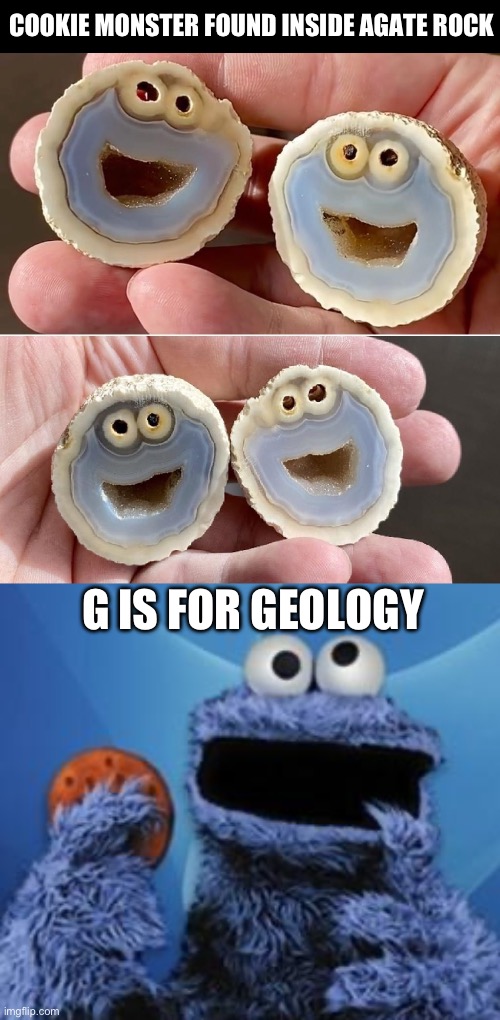 Geology rocks | COOKIE MONSTER FOUND INSIDE AGATE ROCK; G IS FOR GEOLOGY | image tagged in cookie monster,geology | made w/ Imgflip meme maker