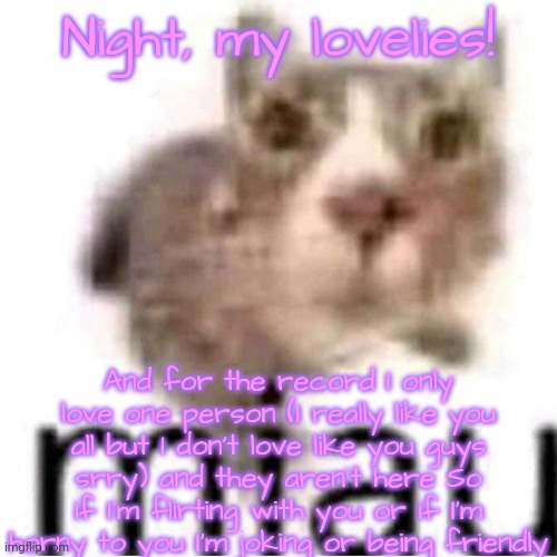 miau | Night, my lovelies! And for the record I only love one person (I really like you all but I don't love like you guys srry) and they aren't here So if I'm flirting with you or if I'm horny to you I'm joking or being friendly | image tagged in miau | made w/ Imgflip meme maker