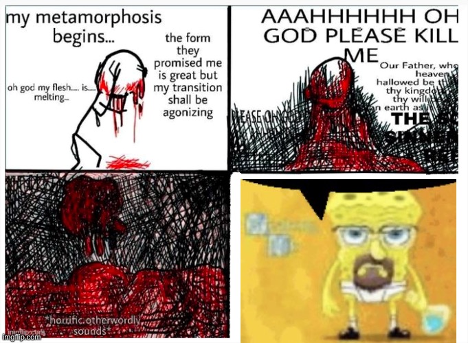 the metamorphosis | image tagged in the metamorphosis | made w/ Imgflip meme maker